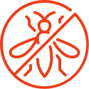 mosquito